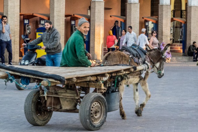 16945765401_efe75ee8c0_b