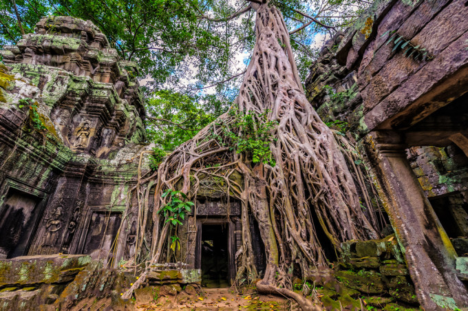 shutterstock_234101482