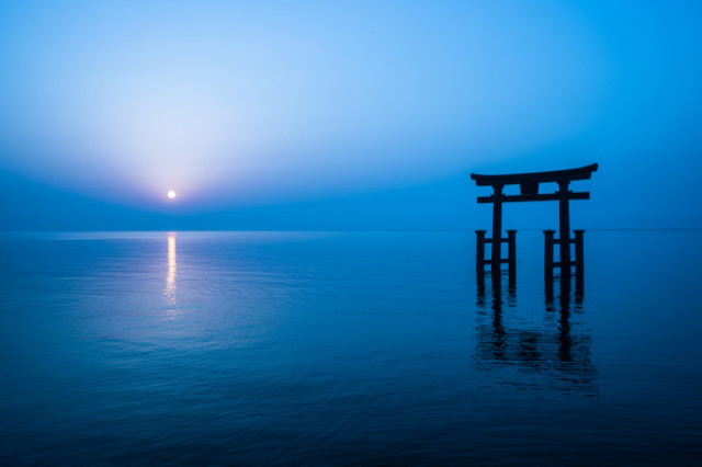 shutterstock_1694354605