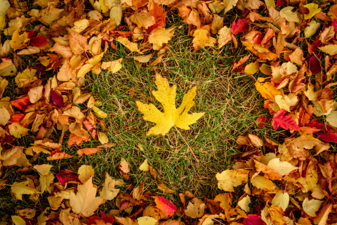 shutterstock_326001848