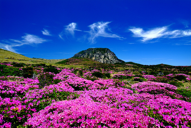 済州火山島と溶岩洞窟群