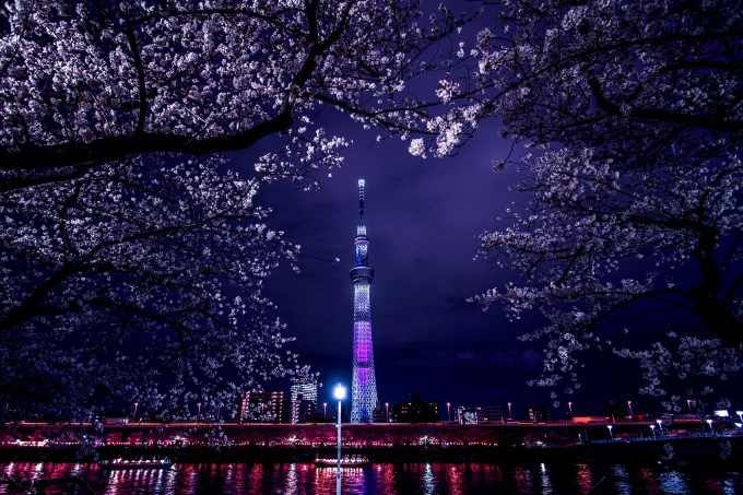 pixta_15128001_M