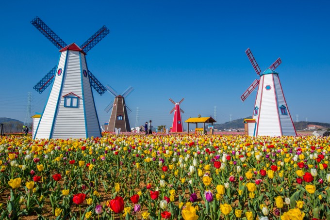 shutterstock_275868293
