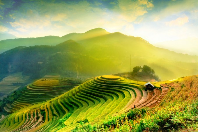 shutterstock_309294353