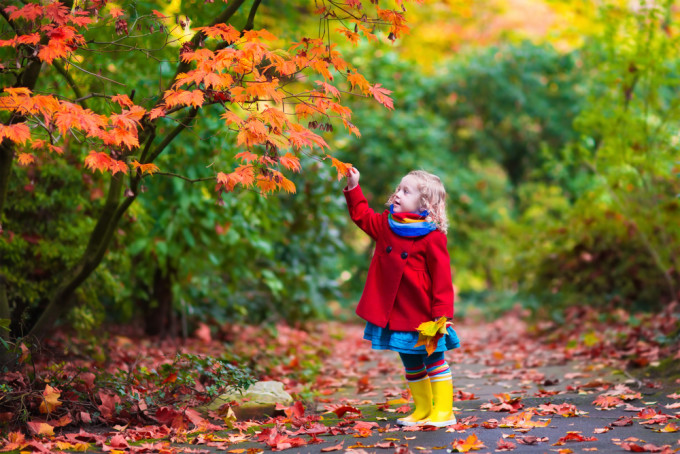 の 表現 秋 訪れ 秋の始まりを表す言葉が知りたい！秋の訪れをどう表現する？