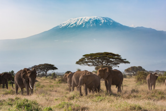 アフリカ観光で自然体験！ ケニアのおすすめ観光スポット11選 ｜ ガジェット通信 GetNews