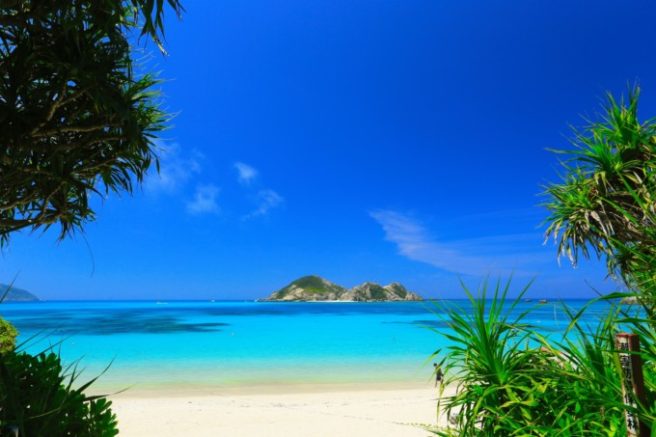 慶良間ブルー専用 慶良間ブルー専用 慶良間ブルー専用 じゃらん限定】那覇市内送迎