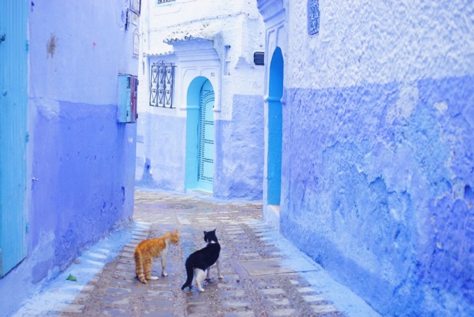 モロッコの青い街・シャウエン