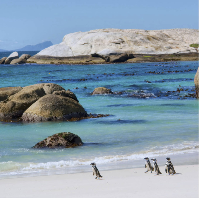 楽園感がやばい 南アフリカの観光スポット10選 Tabippo Net