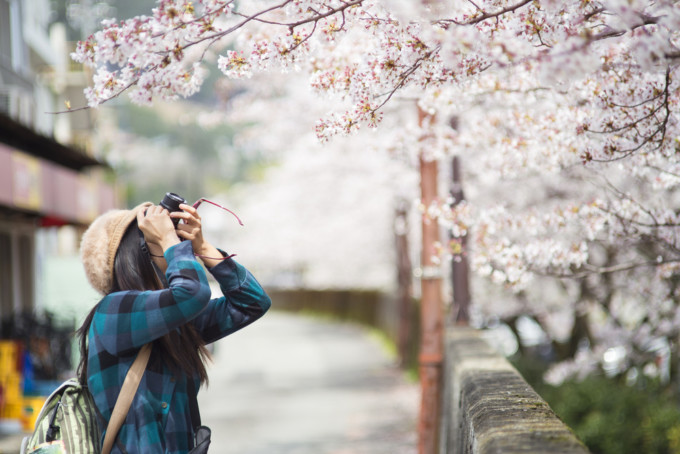 桜と女の子とカメラ