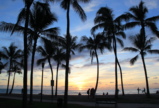 リヤドロ　ナオ　フラガード&フラボーイ　ハワイ リヤドロ ナオ フラガード&フラボーイ ハワイ