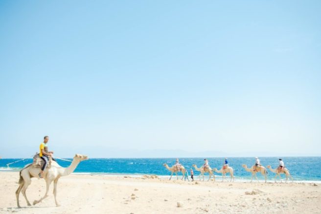 砂漠と潮の香り エジプトのシャルム エル シェイク 写真30枚 Tabippo Net