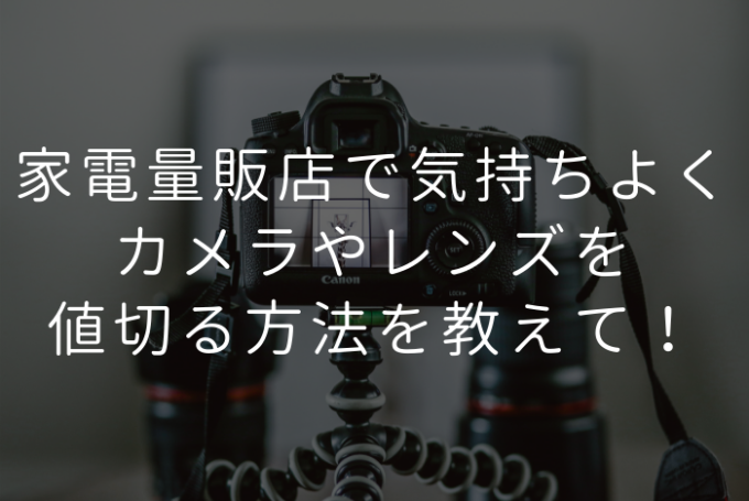 家電量販店で気持ちよくカメラやレンズを値切る方法を教えて プロフェッショナルに聞いてみよう ガジェット通信 Getnews