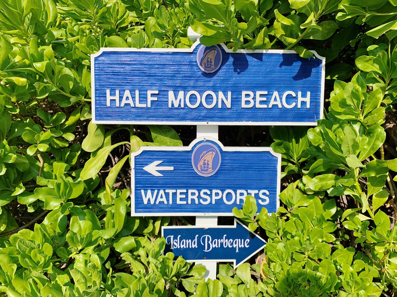 1/1：バハマ（Half Moon Cay, Bahamas）