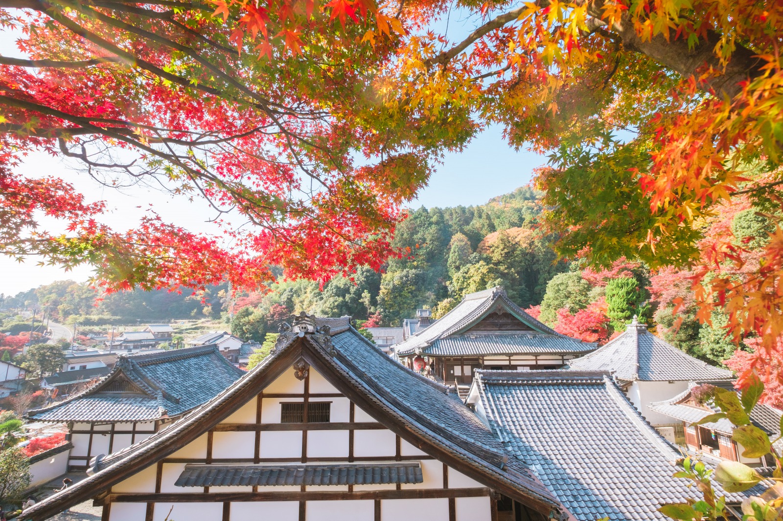 乙女ごころを掴まれる 京都の かわいいスポット Best3 Ava Travel アバトラベル