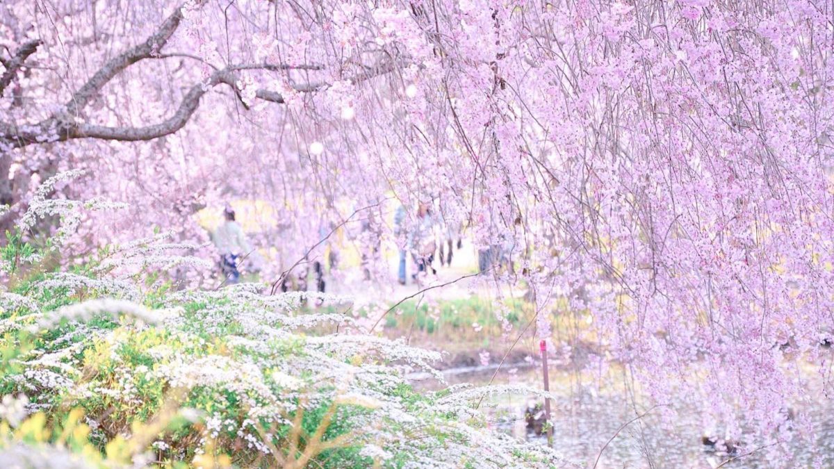 あいわ活土 花咲く故郷11月 染まる里 茶額 版画 風景画 あいわ活土 花咲く故郷11月 染まる里 茶額 版画 風景画