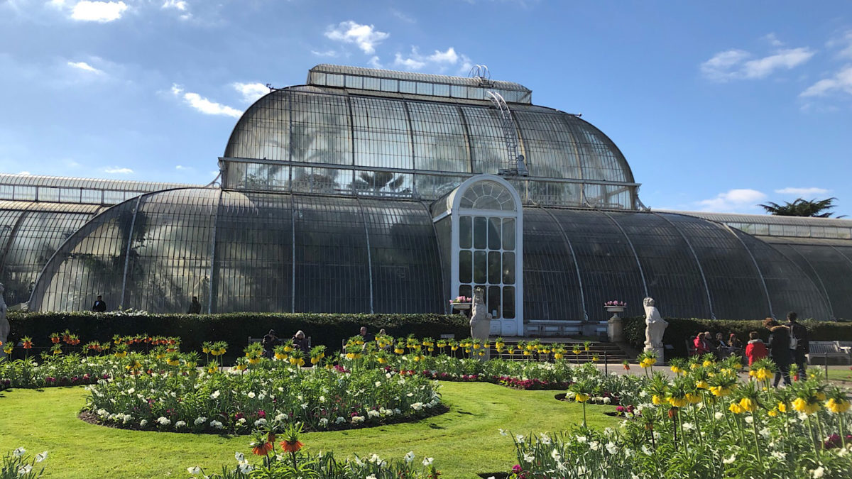 48C061F5-68B2-45C1-B24E-