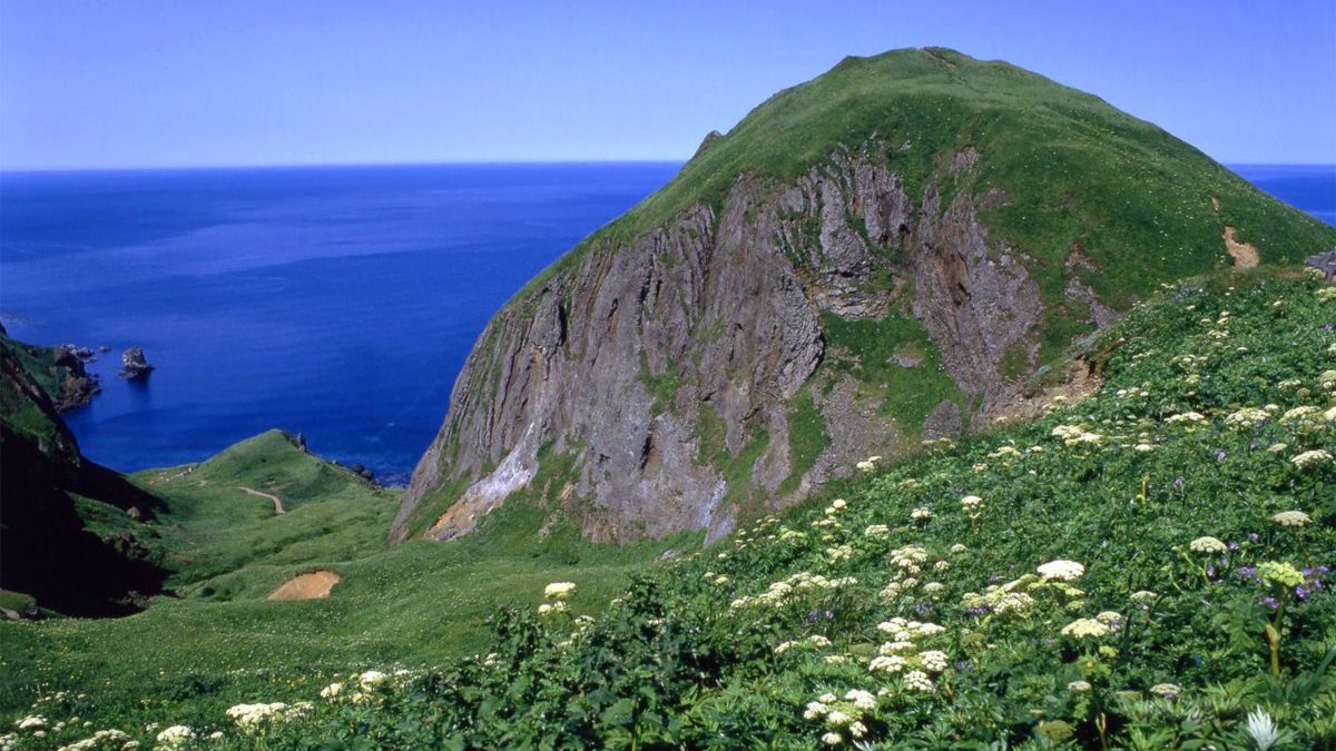 別名「花の浮島」！日本最北の有人島、礼文島で花と海の絶景