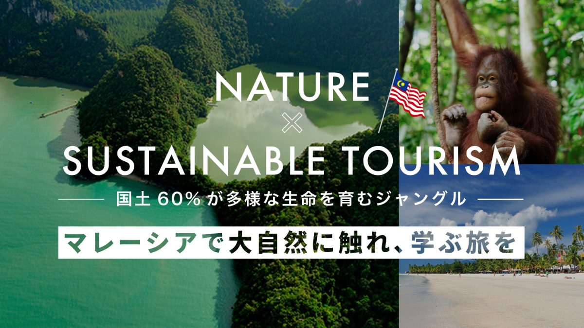 国土60%がジャングルのマレーシアで、大自然に学ぶ旅をしよう