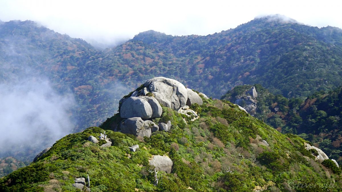 0000_Yakushima_Mt.Kuromidake_c