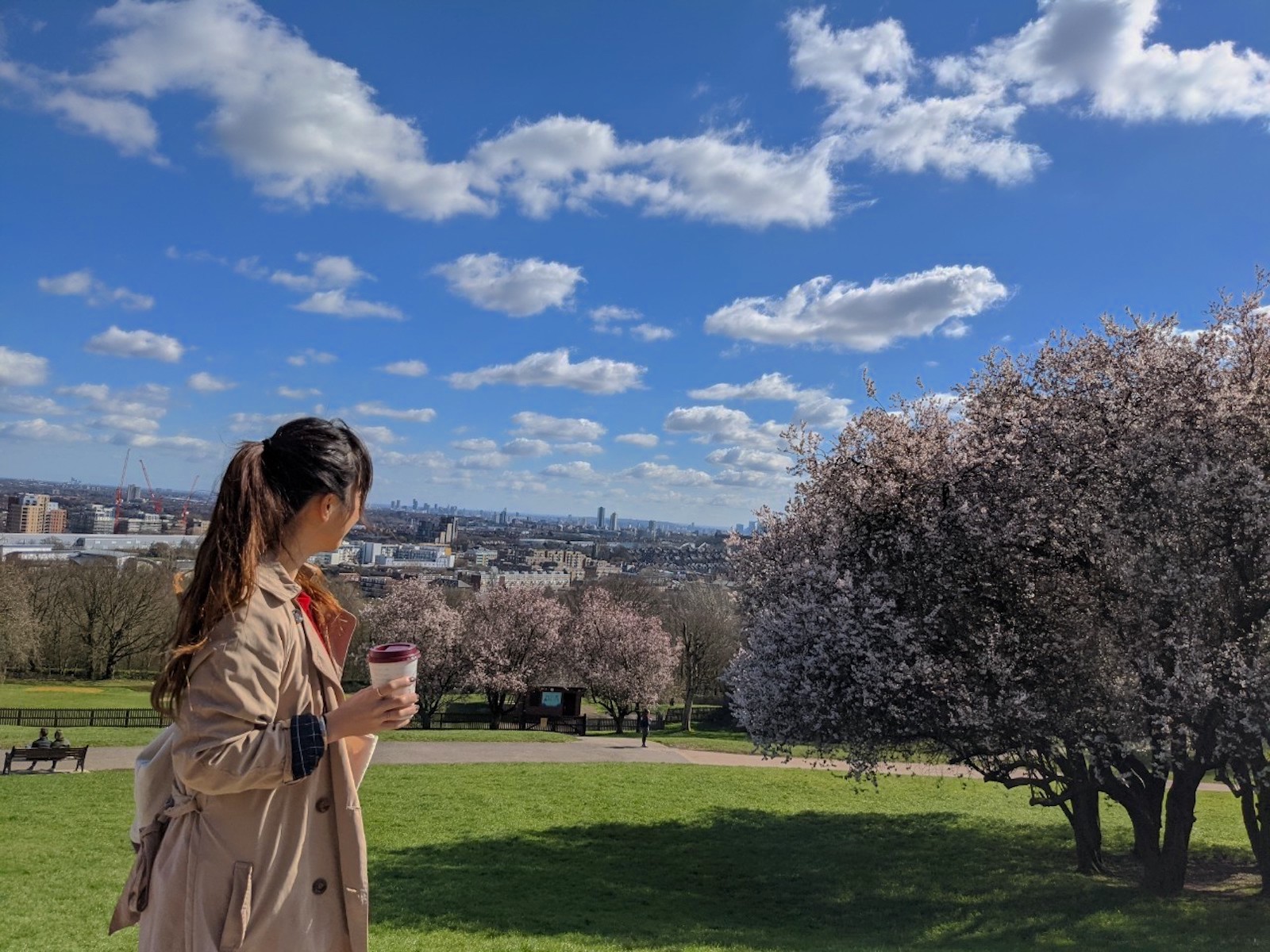 Alexandra Park & Palace ロンドン 桜