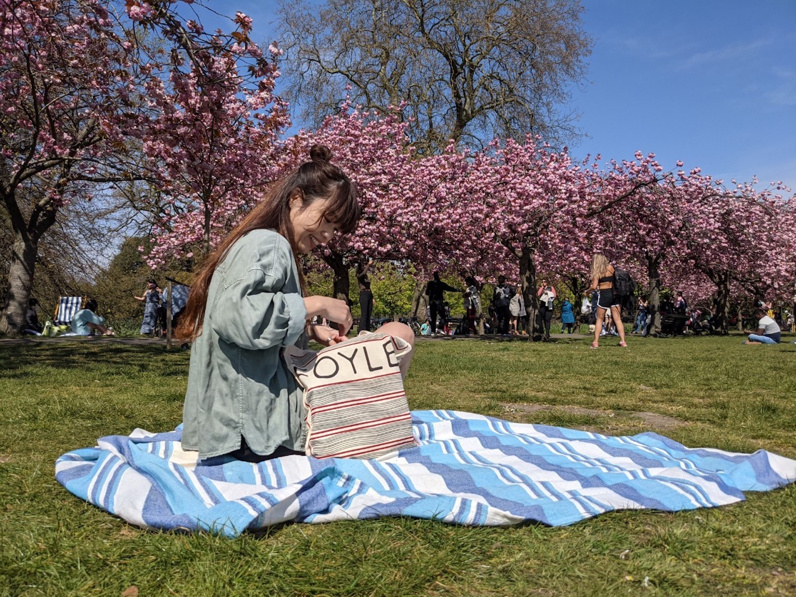 Greenwich park 桜