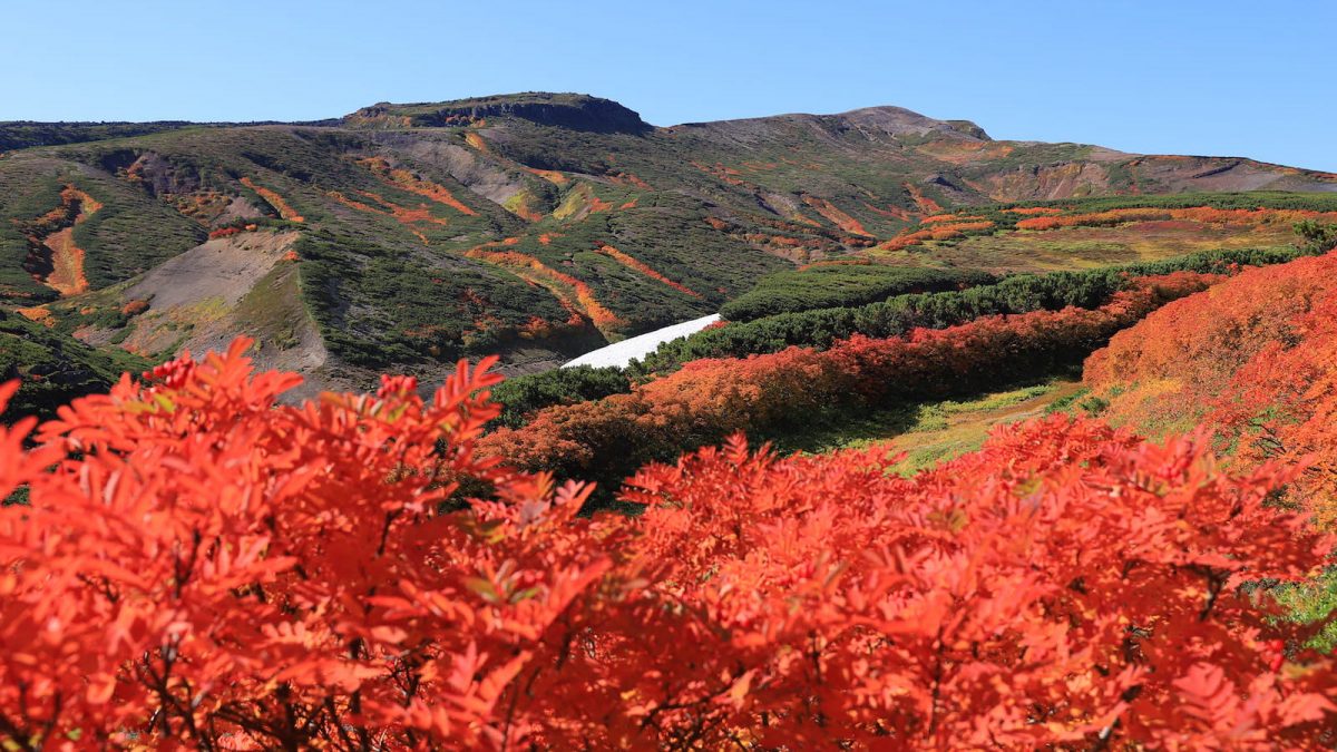 日本一早い紅葉を求めて。北海道の屋根・大雪山「御鉢平一周コース