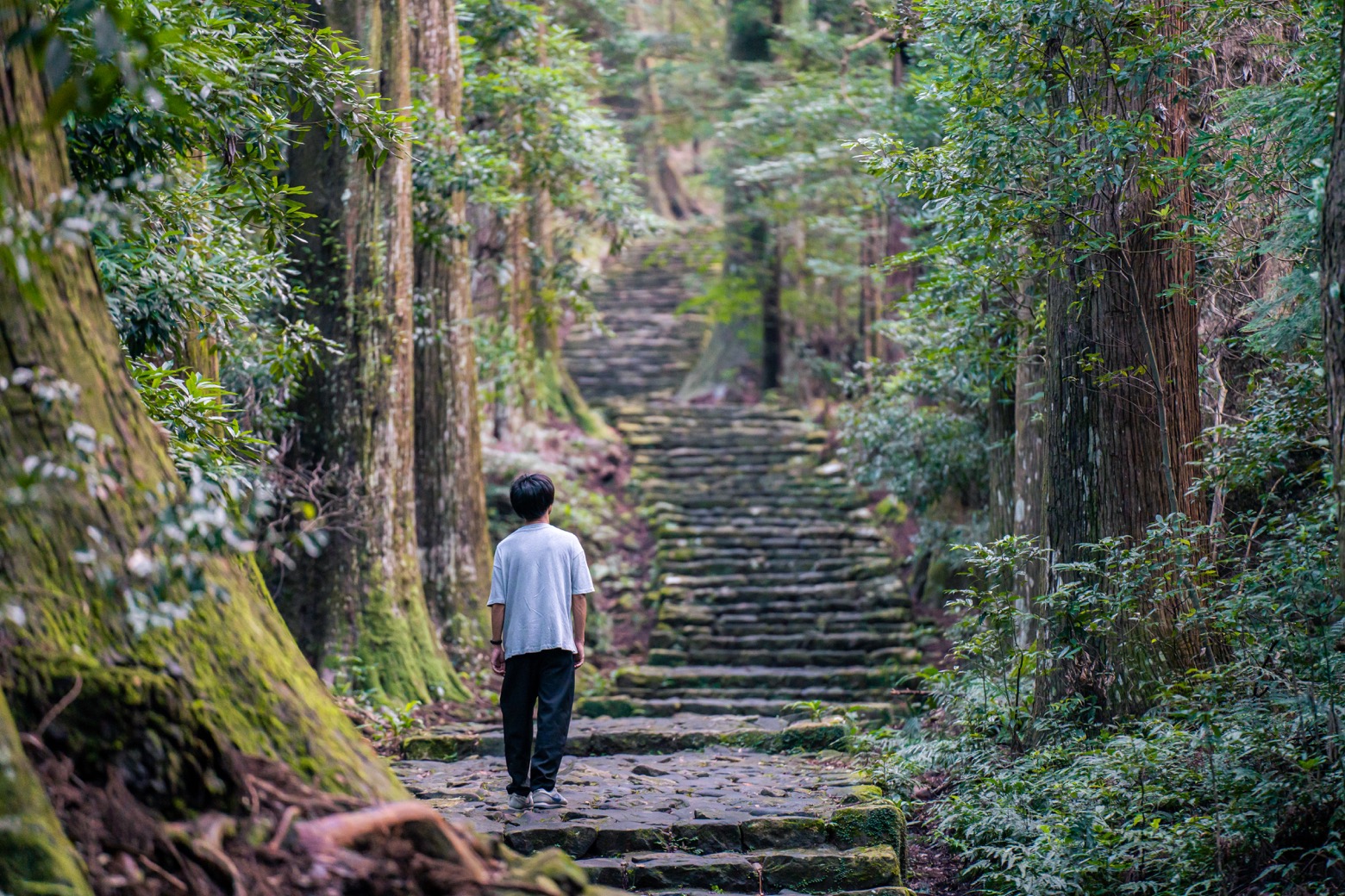 和歌山県那智勝浦町の文化と自然を満喫するツアー by TABIPPO