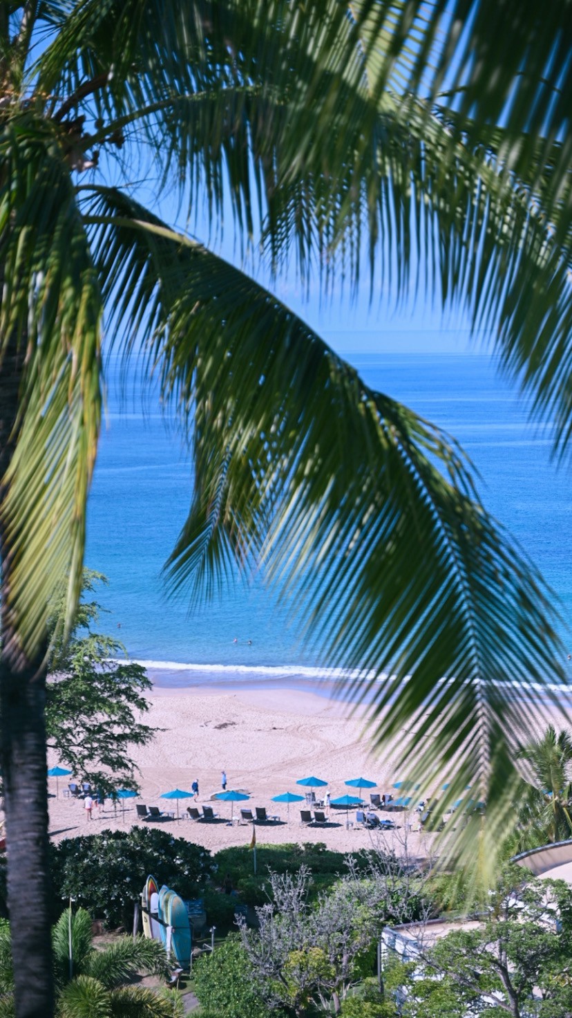 ハワイ島のジ ウェスティン ハプナ ビーチ リゾート