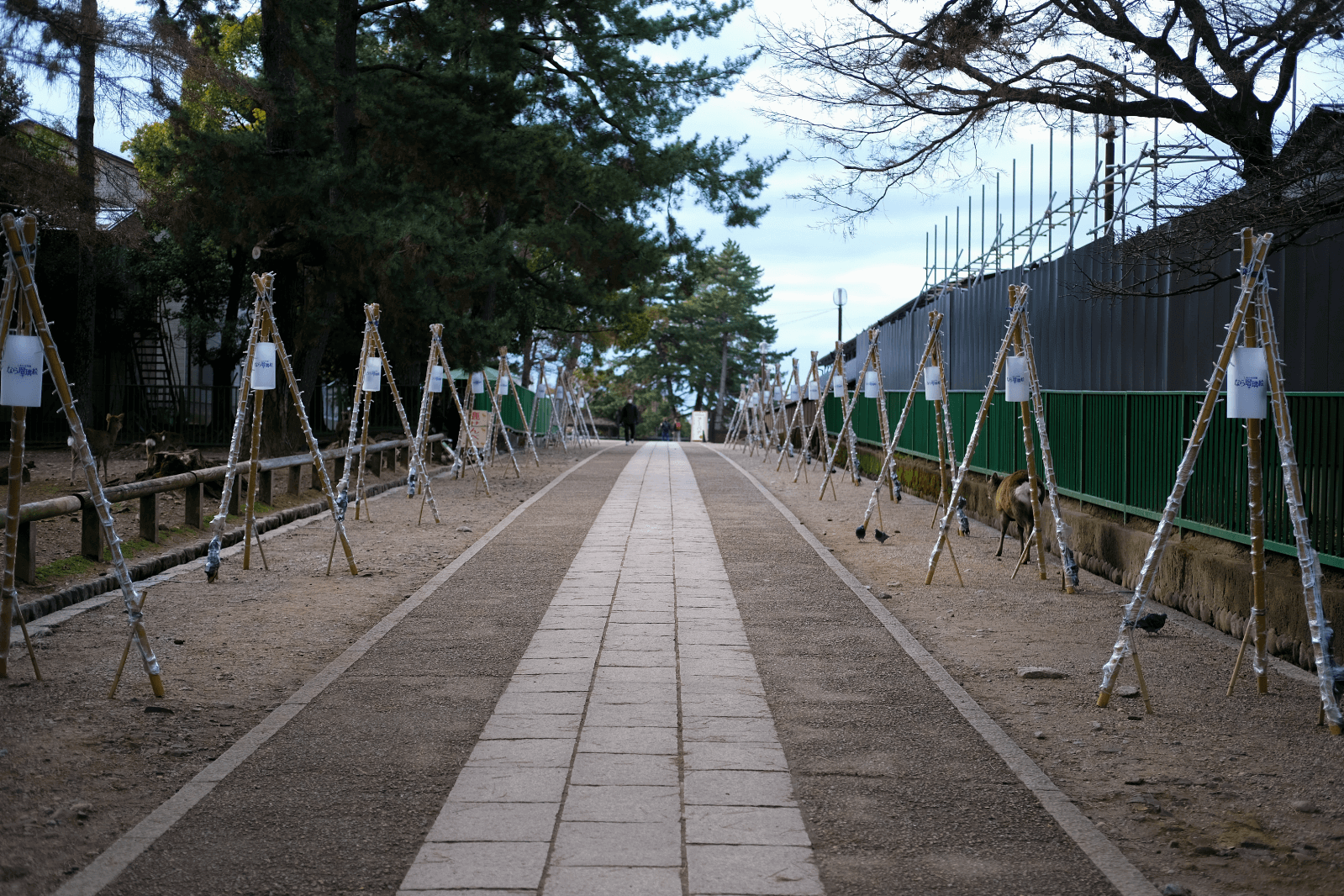 興福寺の参道