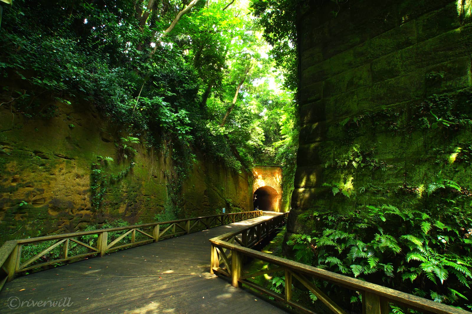 切通からのトンネル（猿島）Sarushima island, Yokosuka