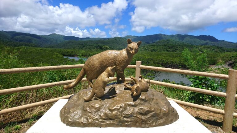 イリオモテヤマネコの像（西表島）