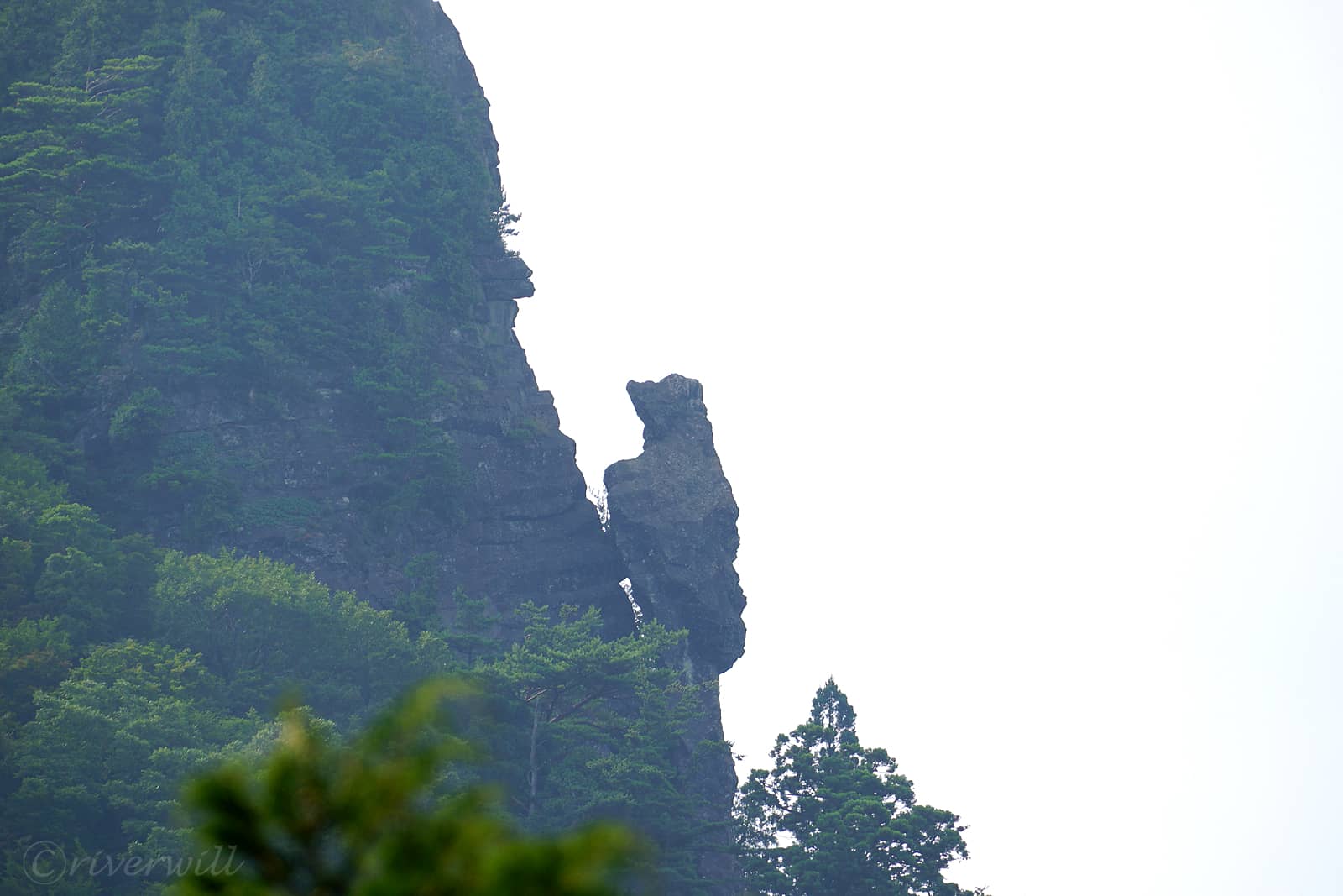 トカゲ岩（島後・隠岐の島町）