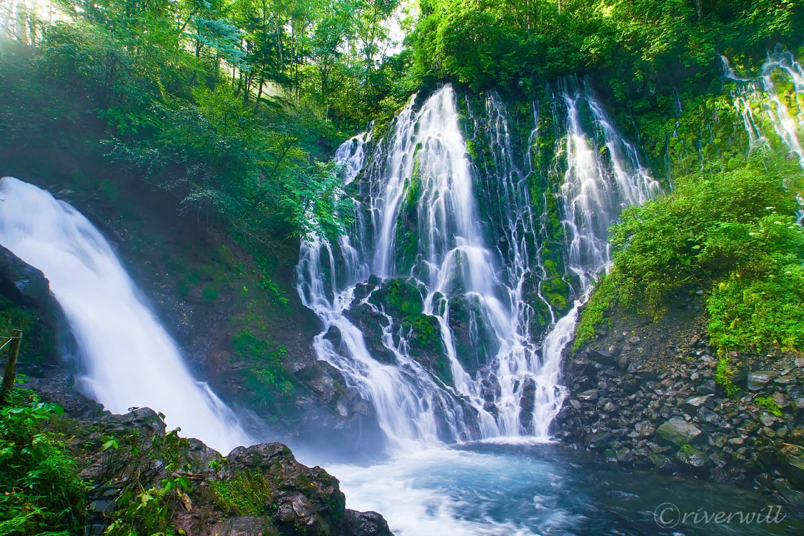 五色ヶ原の森（岐阜県）