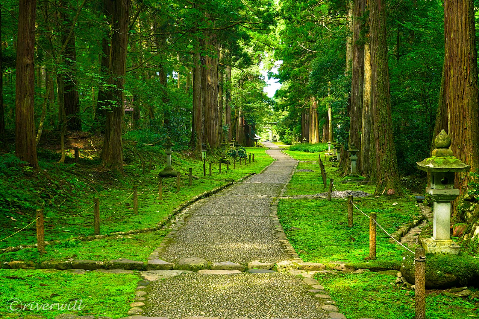 平泉寺白山神社（福井県）