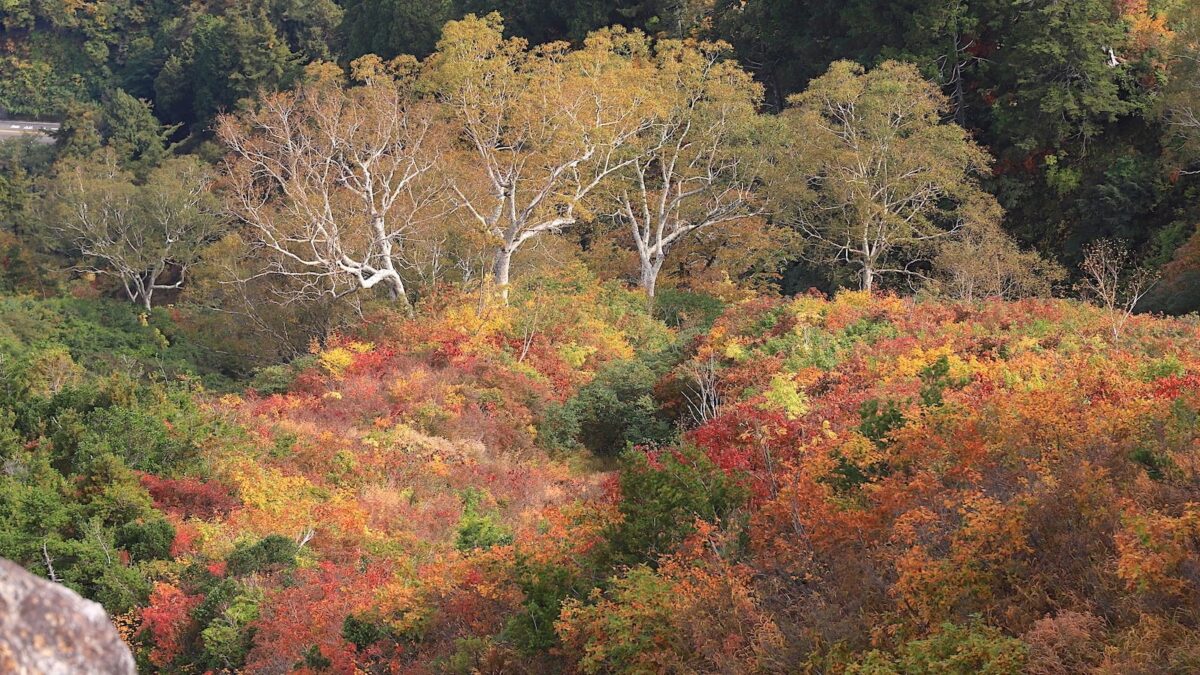 日本一はやい紅葉は9月から。9月〜10月に満喫する秋の紅葉登山のススメ