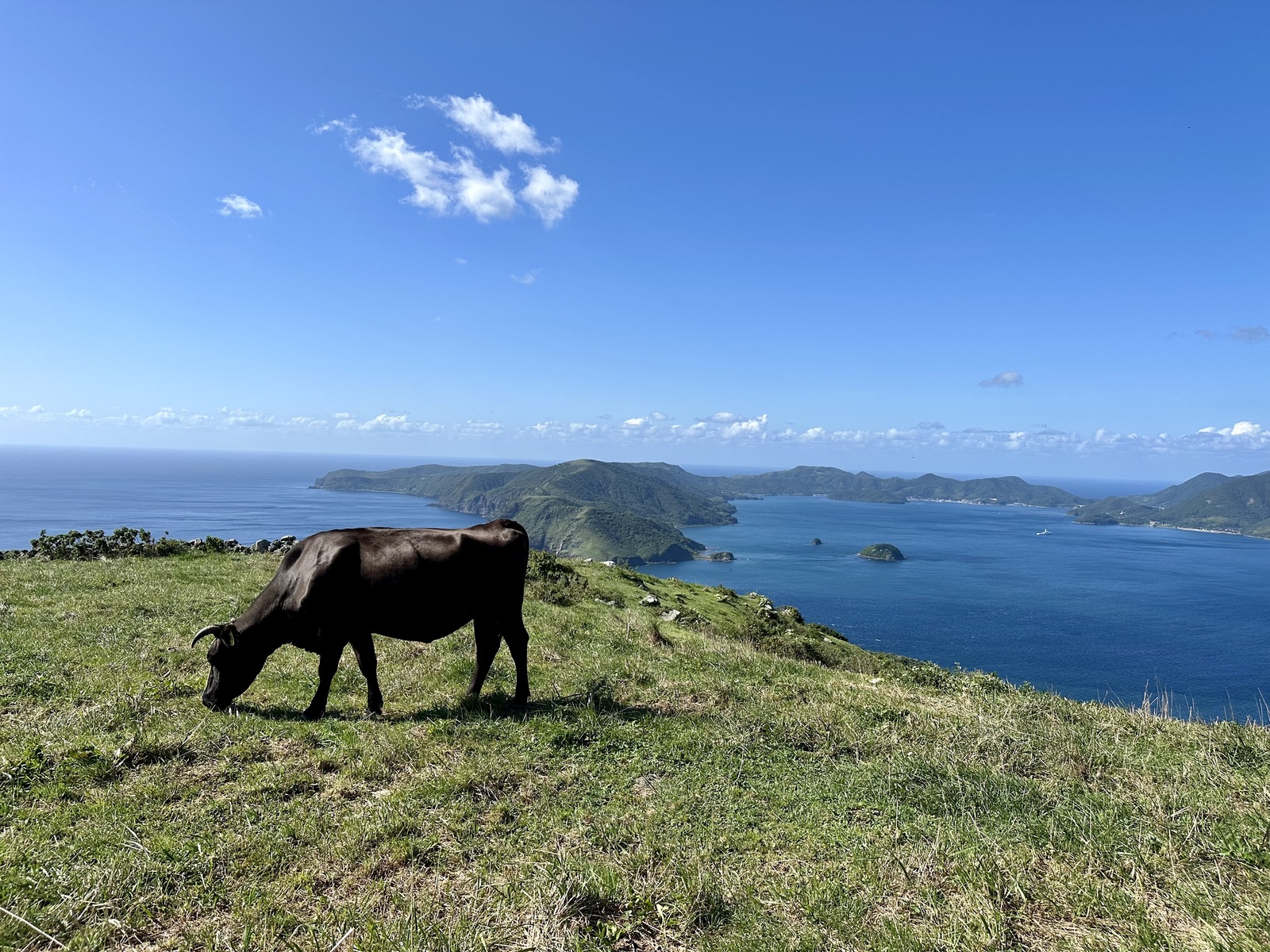 知夫里島の放牧と島前カルデラ