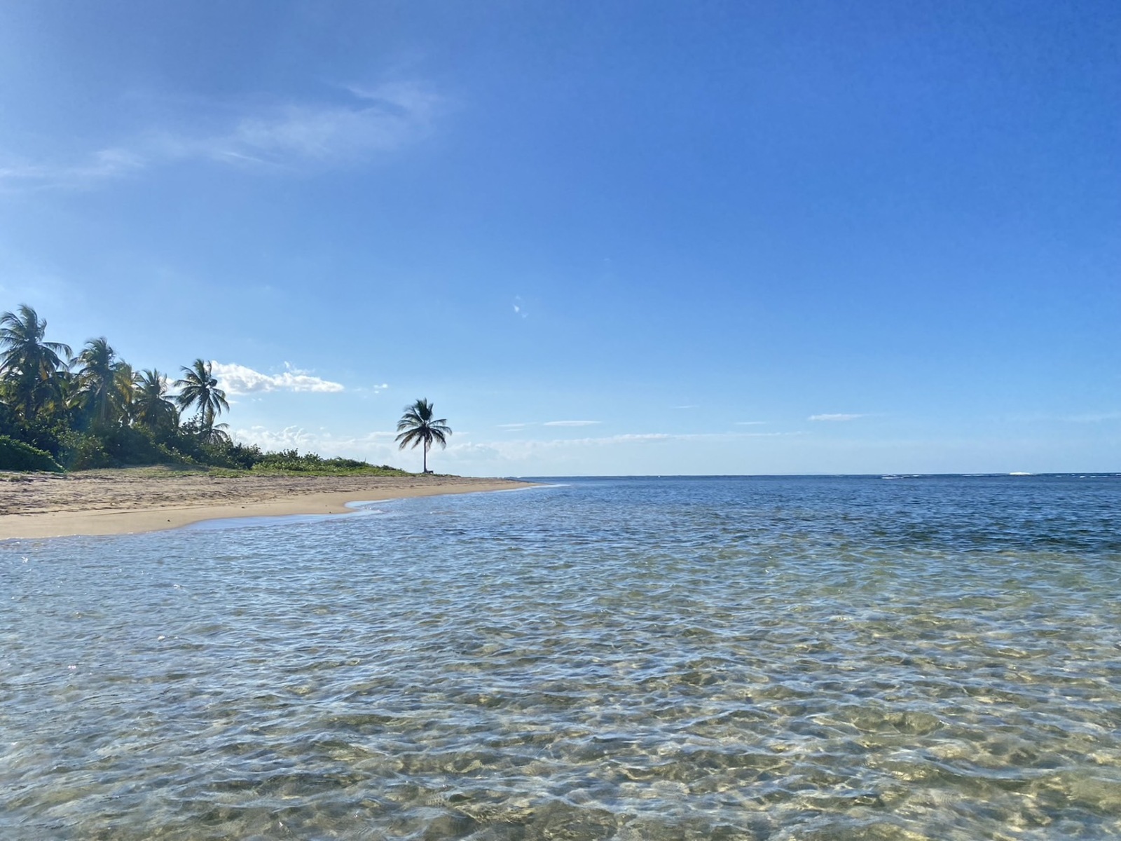 ドミニカ共和国の海