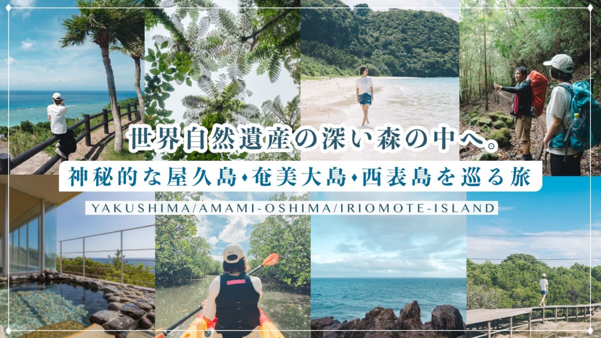 世界自然遺産の深い森の中へ。神秘的な屋久島・奄美大島・西表島を巡る