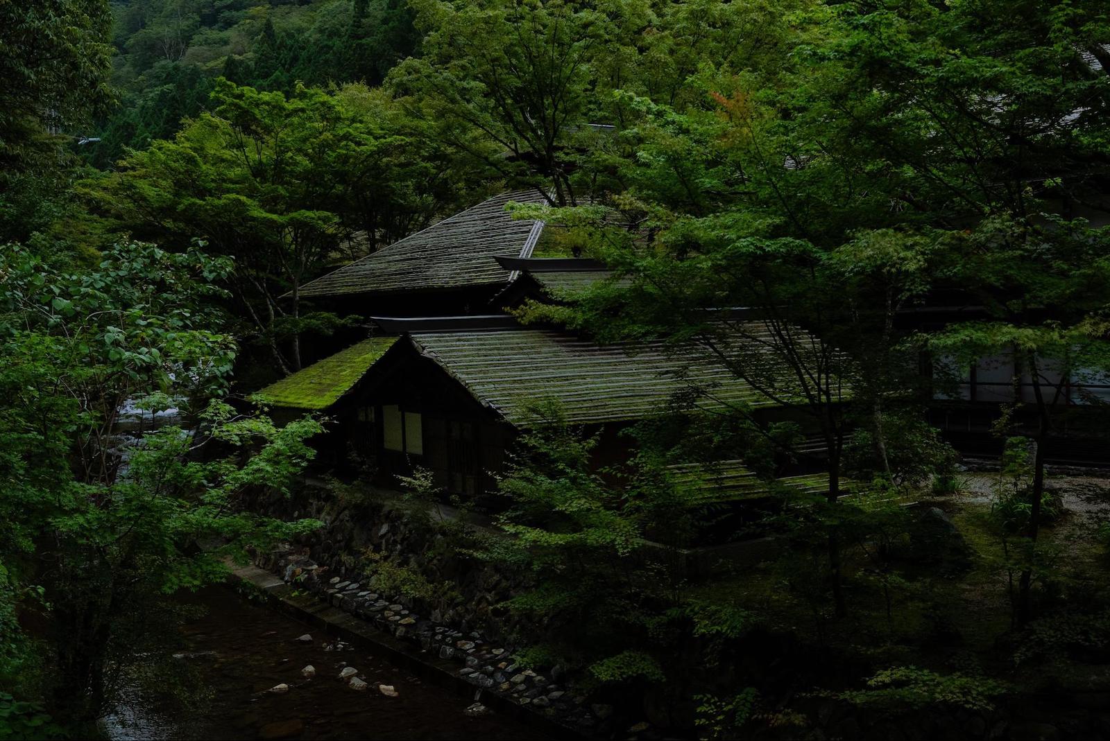 法師乃湯 法師温泉 長寿館