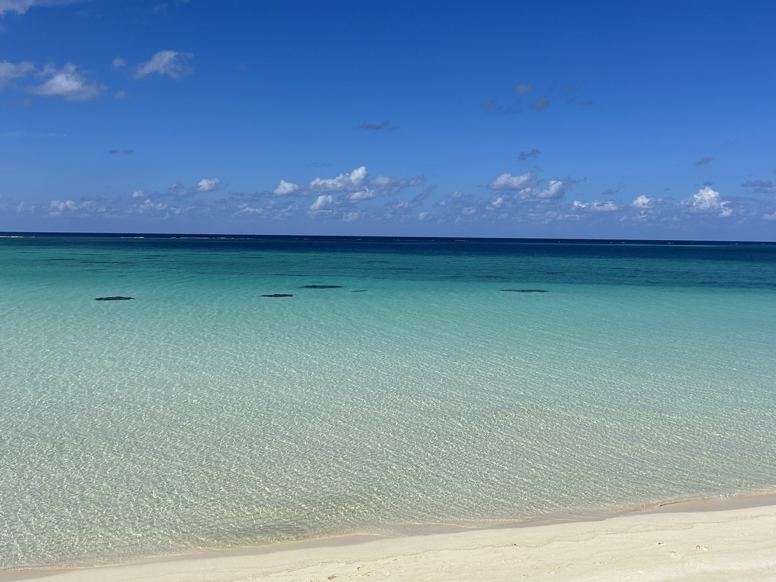 沖縄 海