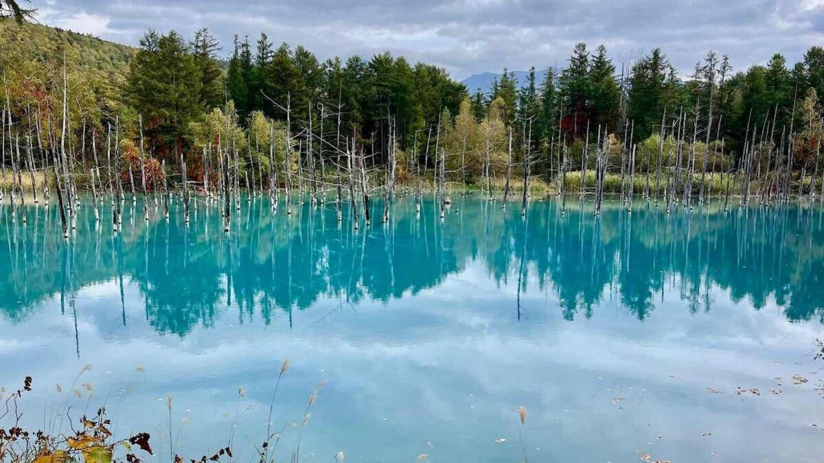 北海道美瑛