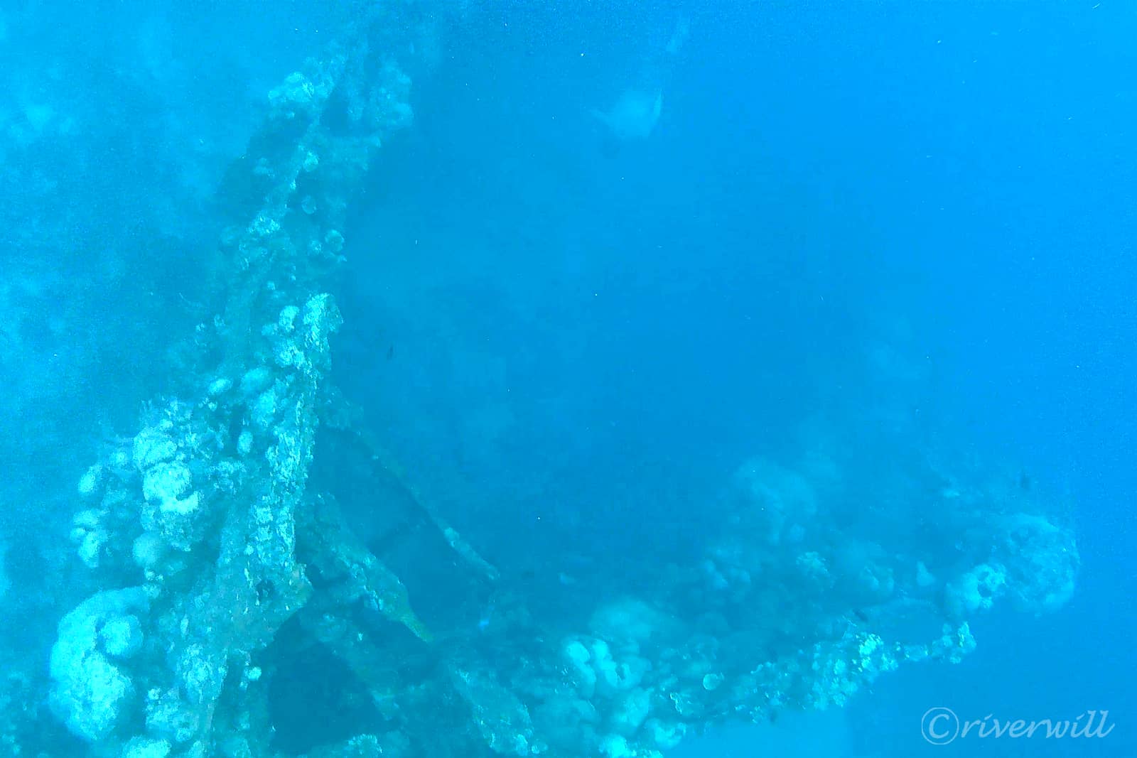 コロン島・日本の沈没船（フィリピン）