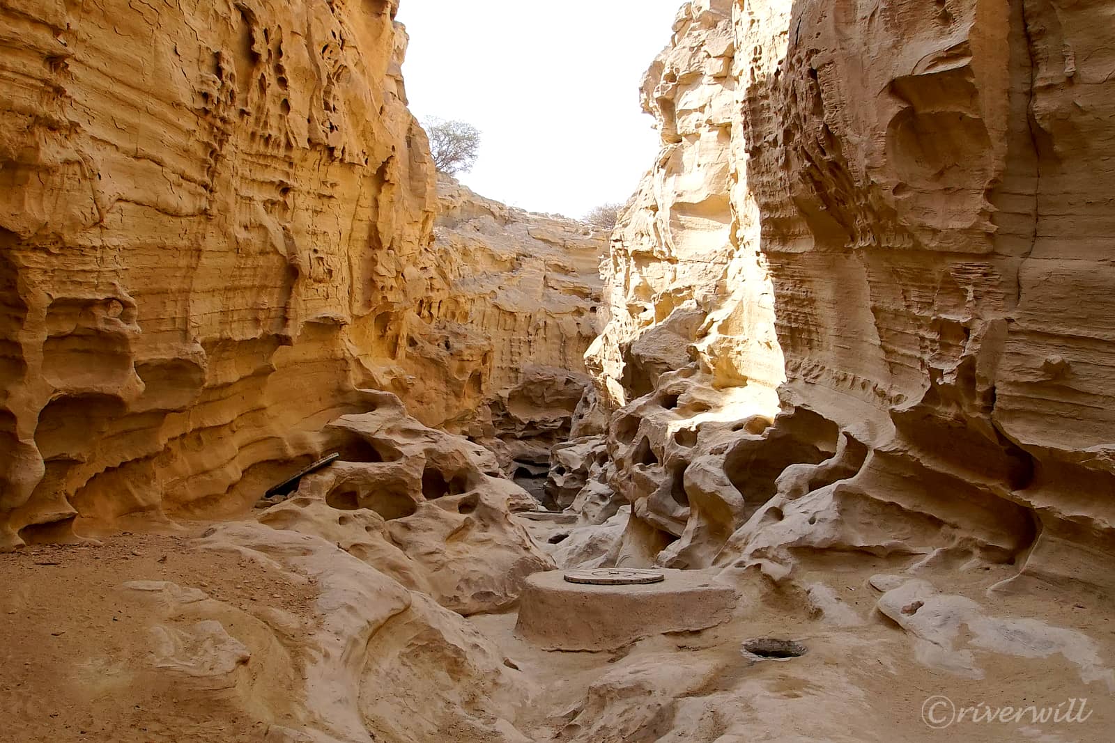 チャークー渓谷（ゲシュム島、イラン）