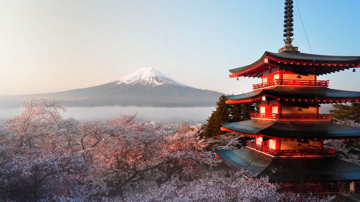 やま桜　　　１メートル30センチ 801646c01c7153da016bd5d45c5105