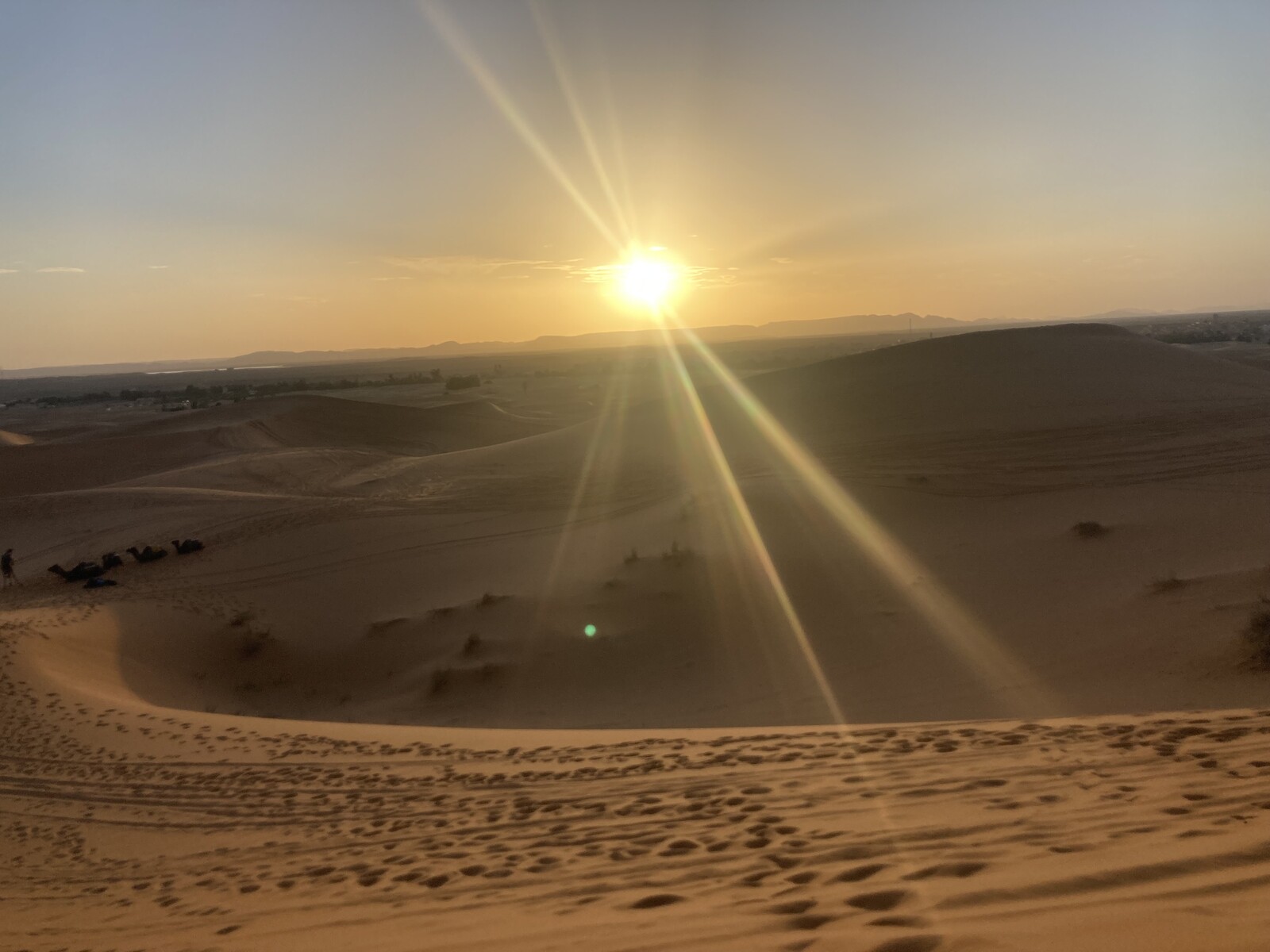 Sahara-sunset