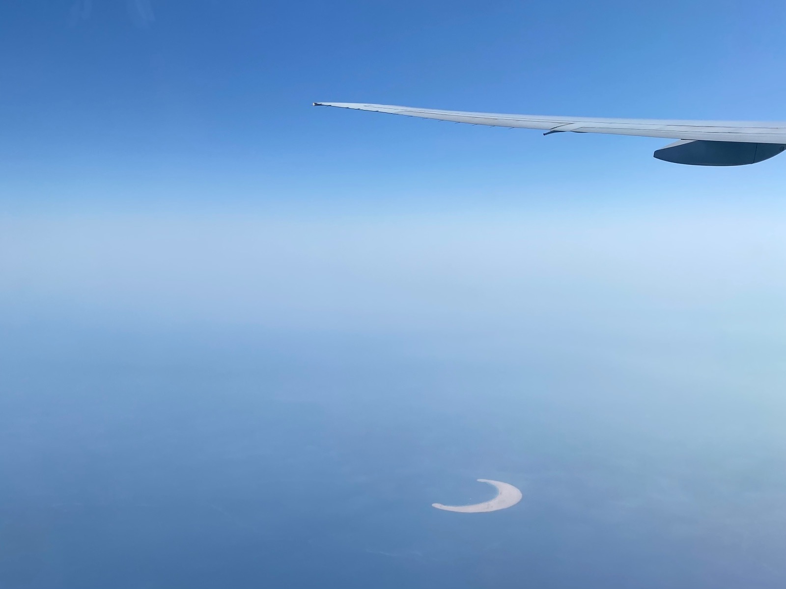 飛行機