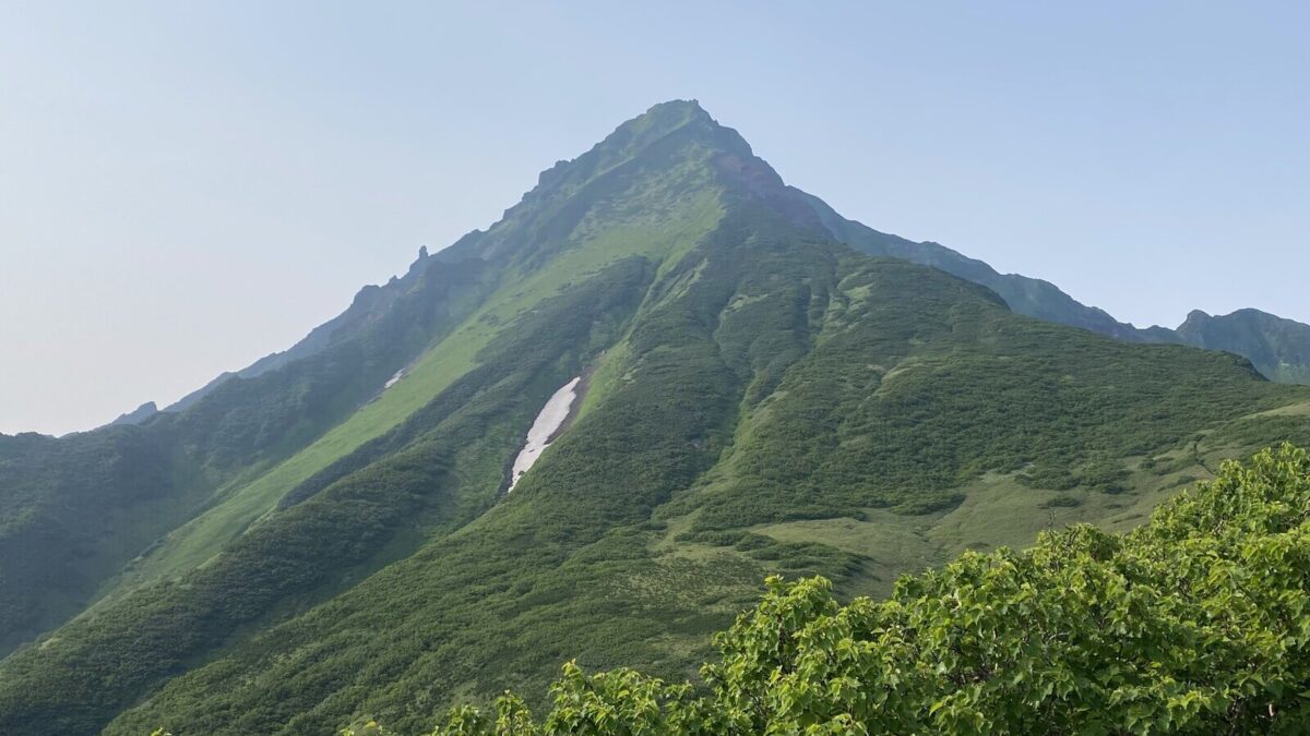 山採り 一位 オンコ 北海道 利尻 希少 海に浮かぶ富士◇北海道・利尻島が誘う静寂と絶品を味わう冒険の旅