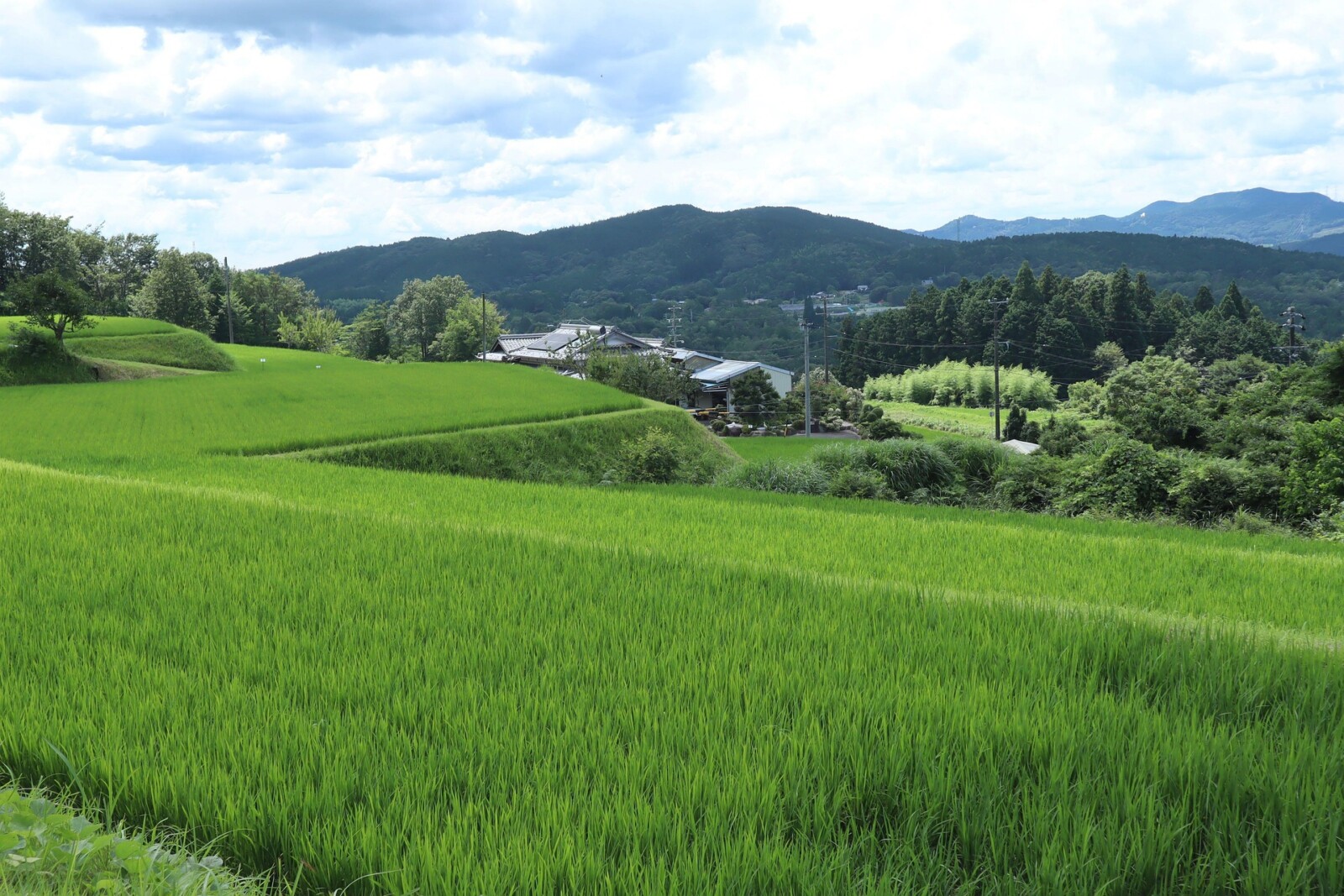 山の風景