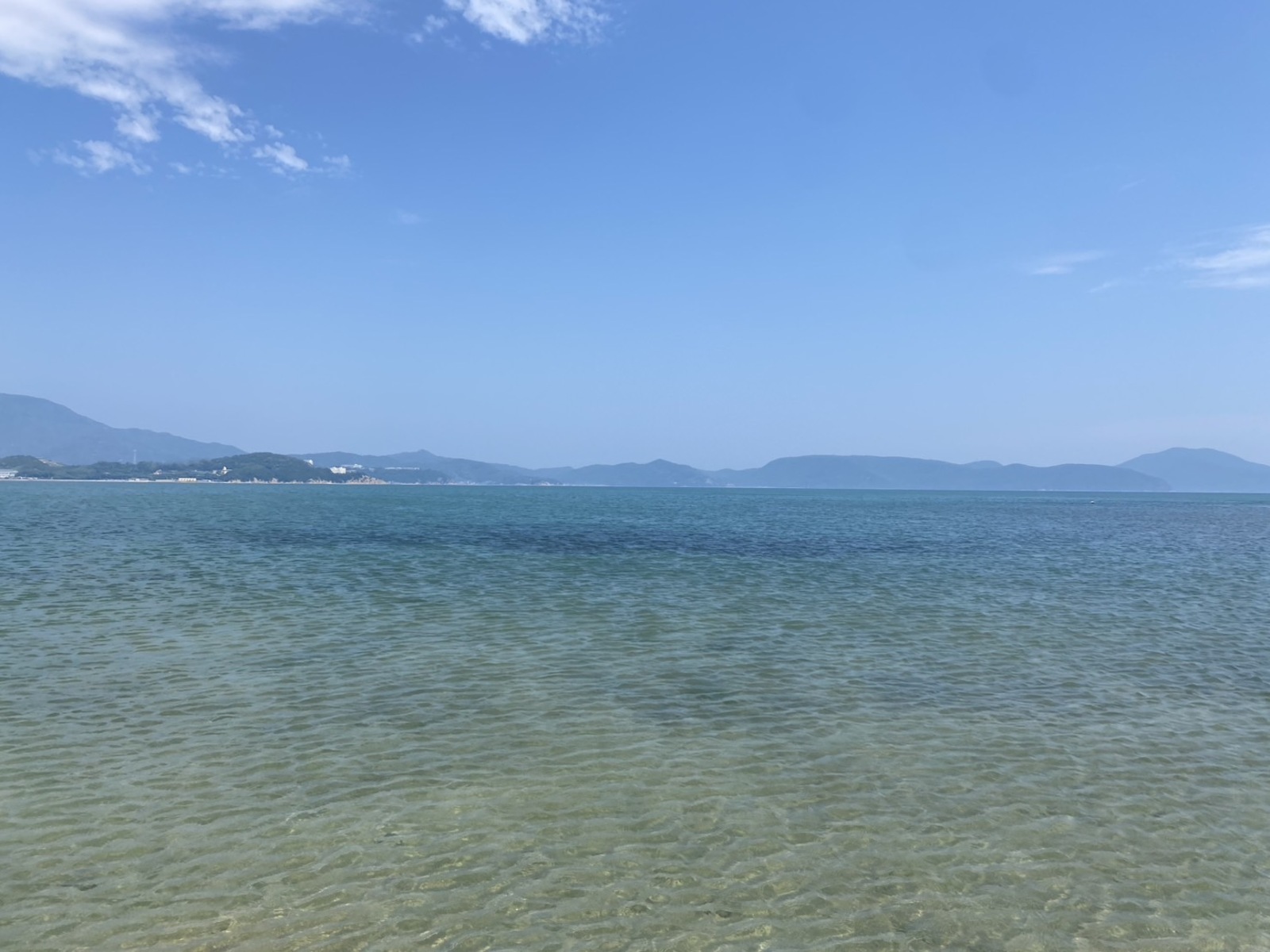 海